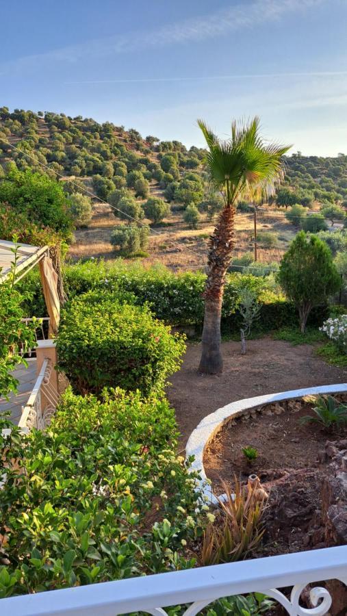 Βlueview Villa Ermioni Exteriör bild
