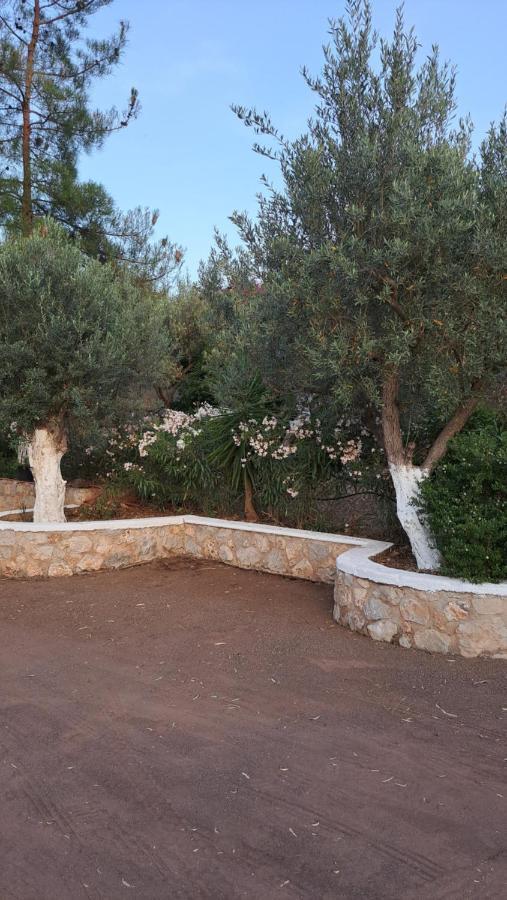 Βlueview Villa Ermioni Exteriör bild